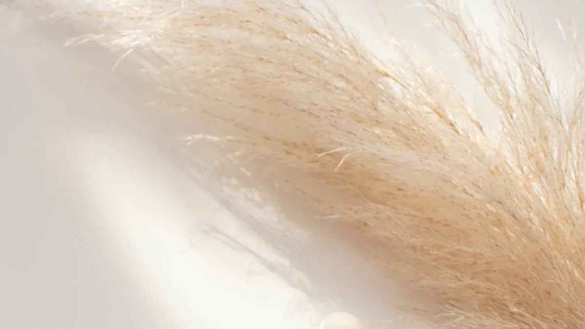 Sustainable Wheat Straw Packaging